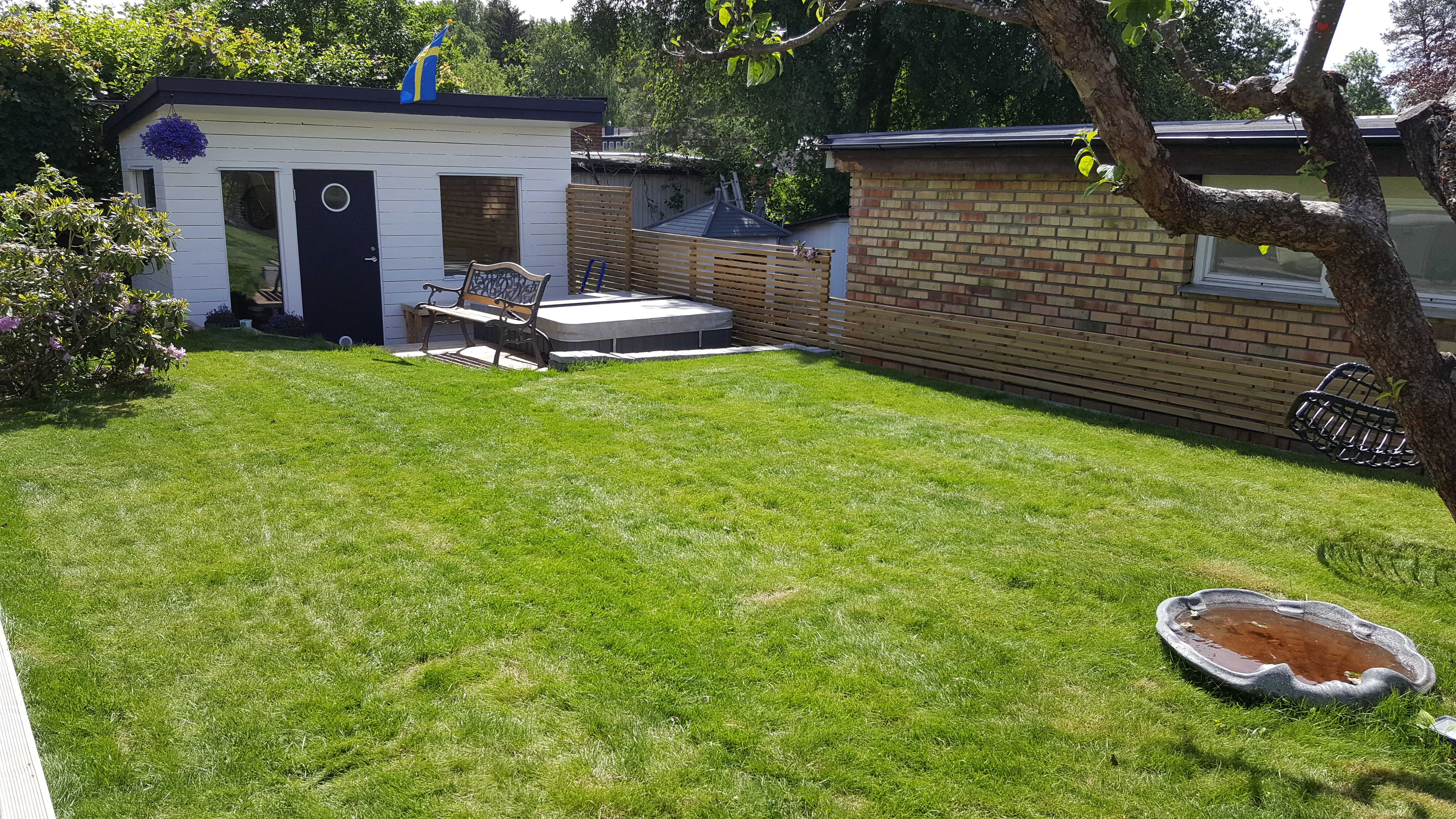 Altan före - torrlagd damm